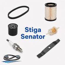 Senator