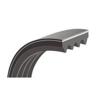Keilrippenriemen passend für Altendorf K3500.0068...