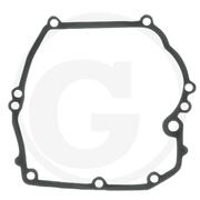 Original Briggs & Stratton lwannendichtung 692232 John...