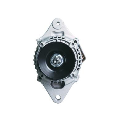 Lichtmaschine passend fr 4D88E-6 3TNV76 3TNV88 12V 40A Komatsu Yanmar Motor