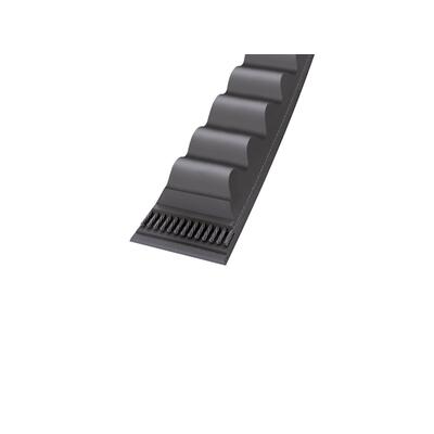 Continental Conti�VX ZX39 - 10 x 1014 Ld, Keilriemen, flankenoffen formgezahnt