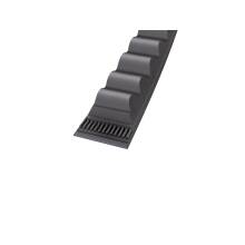Continental Conti®VX AX26 - 13 x 690 Ld, Keilriemen,...