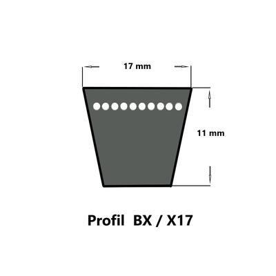 Continental ContiVX BX39 - 17 x 1036 Ld, Keilriemen, flankenoffen formgezahnt