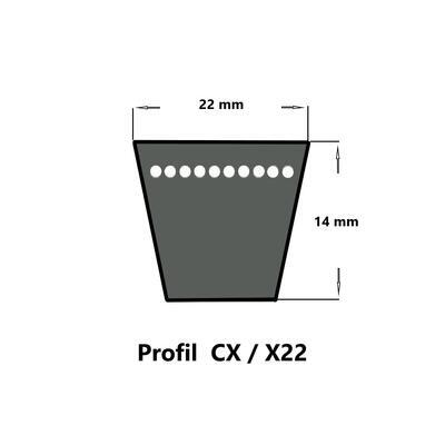 Continental ContiVX CX49 - 22 x 1304 Ld, Keilriemen, flankenoffen formgezahnt