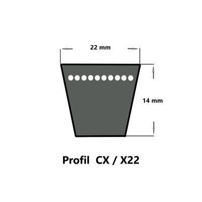 Continental ContiVX CX69 - 22 x 1812 Ld, Keilriemen, flankenoffen formgezahnt