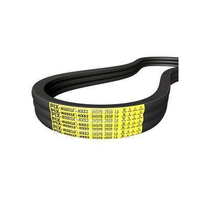 PIX MUSCLE-HXS3 im Profil SPC