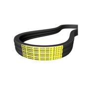 PIX MUSCLE-HXS3 im Profil SPC