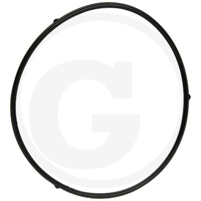 Loncin Schwimmergeh�usedichtung G240F-G420FD Vergaser OE...