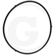 Loncin Schwimmergehäusedichtung G240F-G420FD...